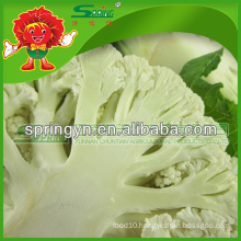 Organic green vegetables fresh cauliflower from Yunnan